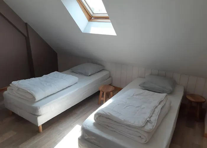 Les Petits Loups Coupelle-Vieille